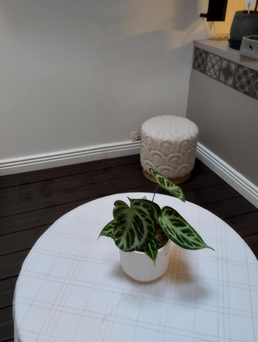 Ideal Vieille Ville De Boulogne La Boulonnaise ! Ngoại thất bức ảnh