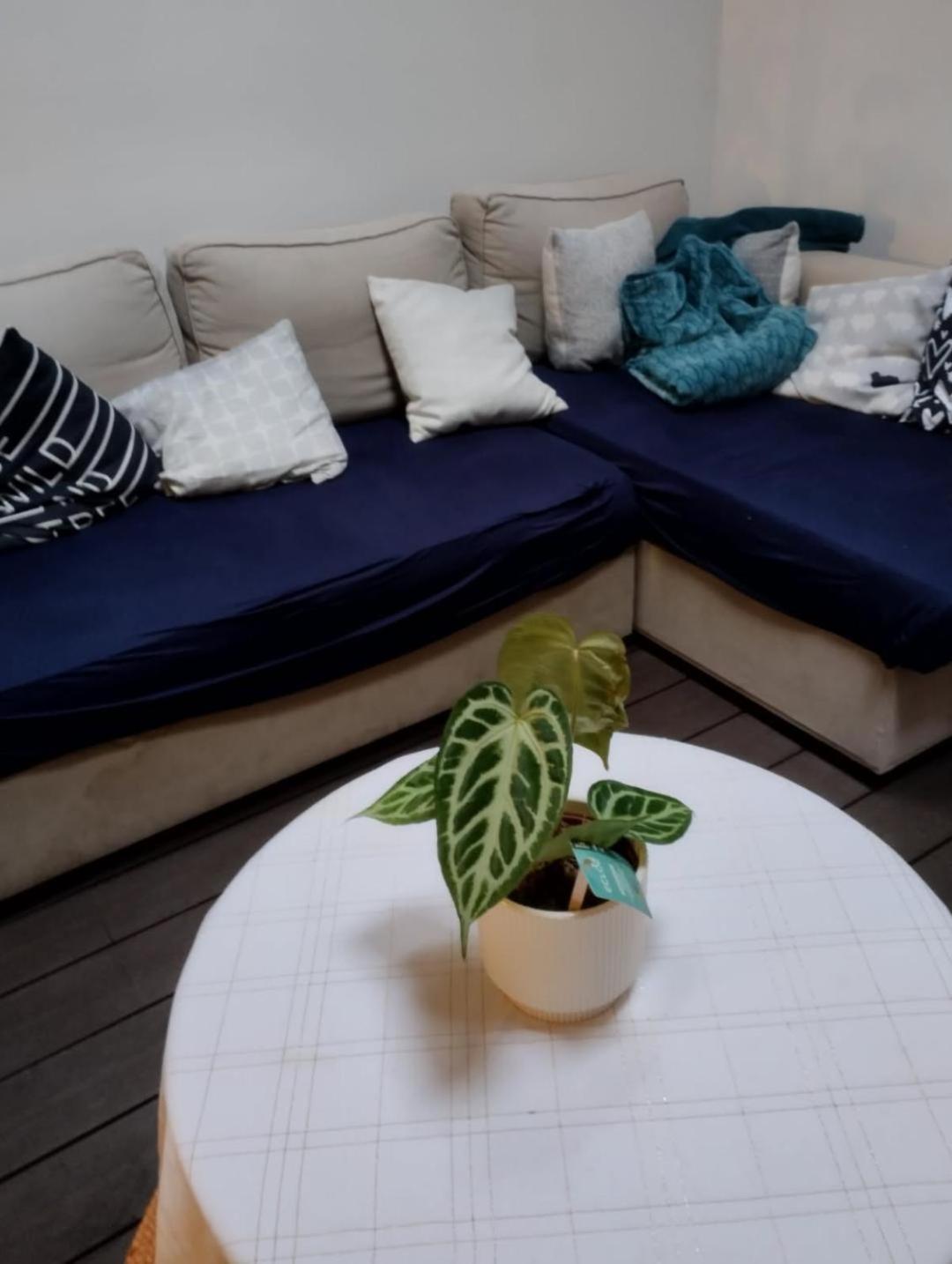 Ideal Vieille Ville De Boulogne La Boulonnaise ! Ngoại thất bức ảnh
